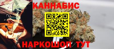 индика Гусь-Хрустальный