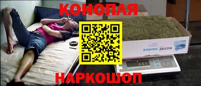 индика Гусь-Хрустальный