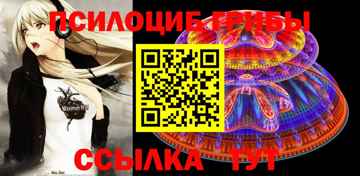 Псилоцибиновые грибы Менделеевск
