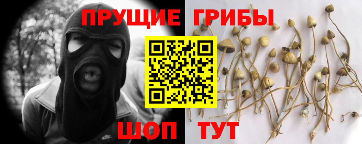 Псилоцибиновые грибы ЛСД  Вход с VPN  Псилоцибиновые грибы прущие грибы  Менделеевск 